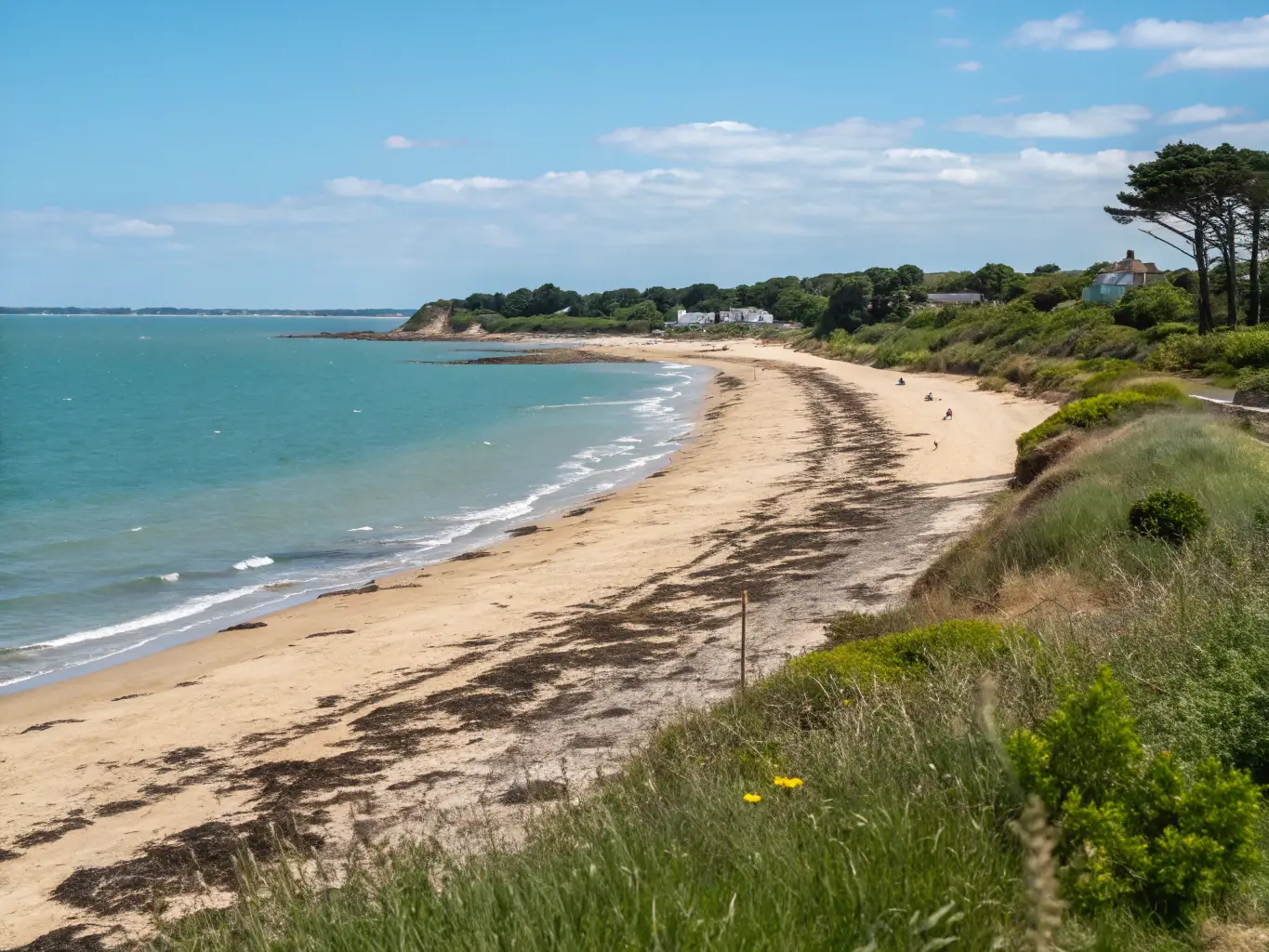 A coastal dune ecosystem in Nouvelle-Aquitaine, showing efforts to stabilize dunes and protect coastal habitats from erosion and human impact.
